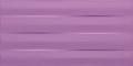 Maxima Violet