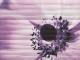 Decor Maxima Violet