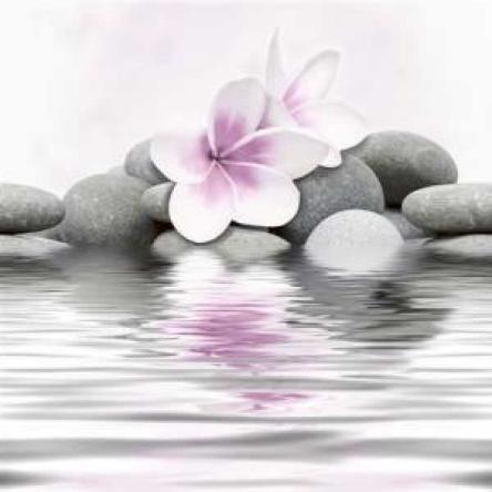 Acqua