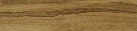 Salco Ambar