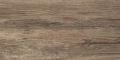 Limba