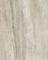 BIRCH